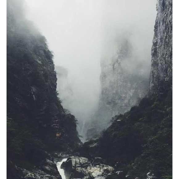 DO NOT BUY: Generic Frozen Salad - Picture 5 of 6